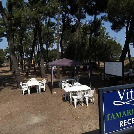 Hotel Tamarins 4*